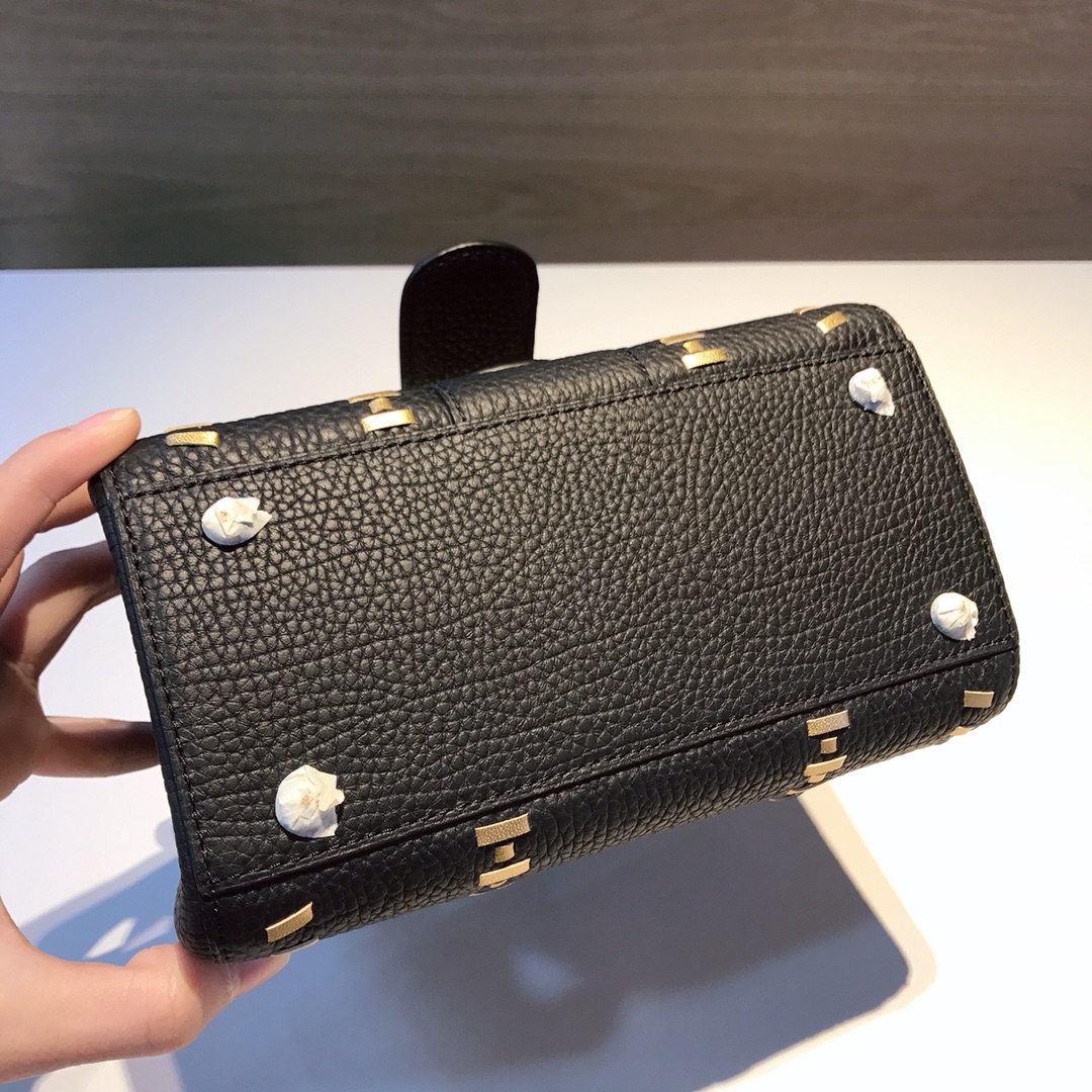 델보 브리앙 토트백 미니